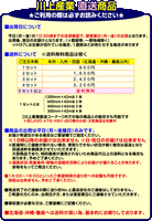 【5セット以上送料無料】d37 400mm×42ｍ 3巻セット ダイエットプチ エアパッキン エアクッション 緩衝材